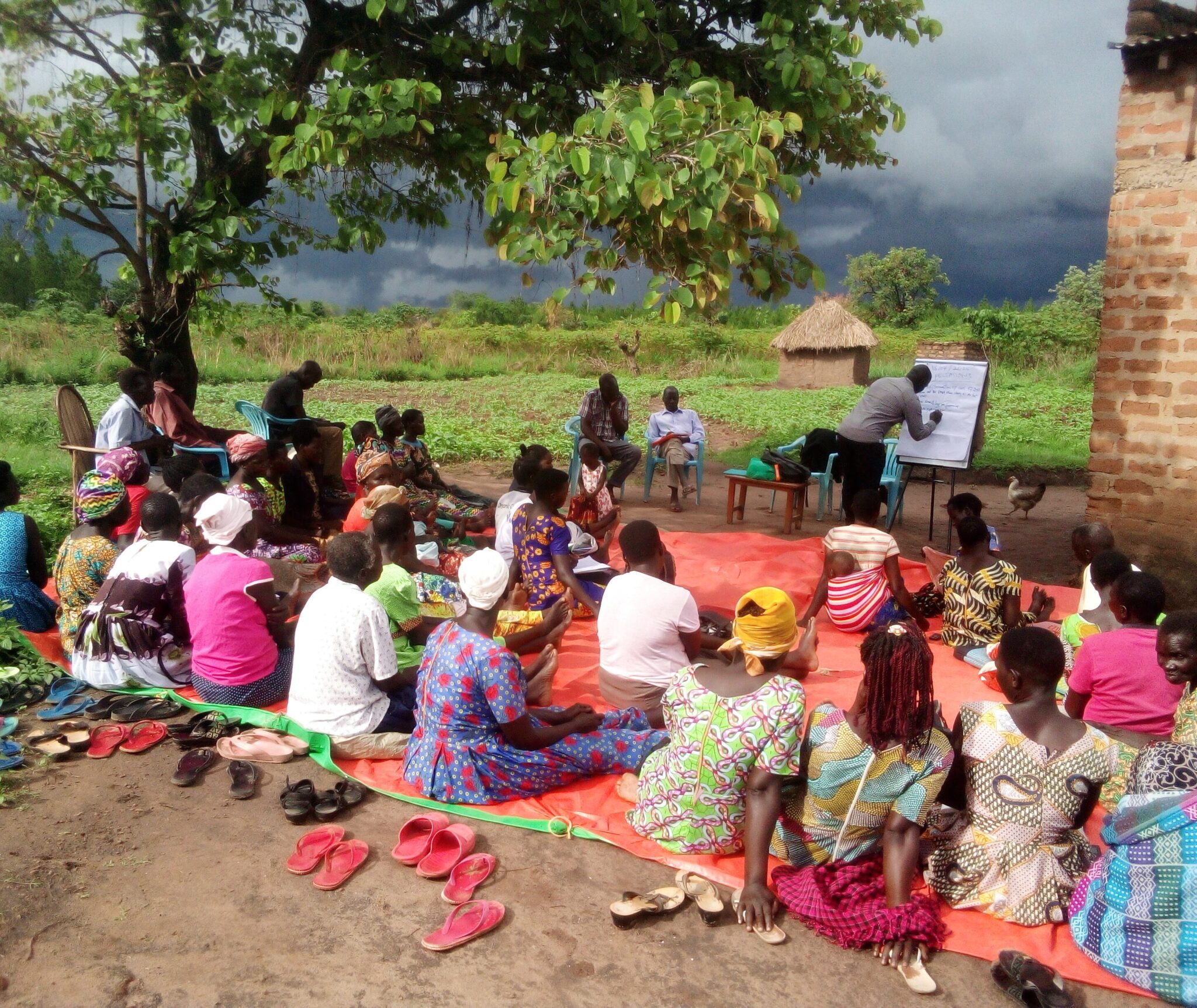 Agricultural field demonstration supported by Agafam